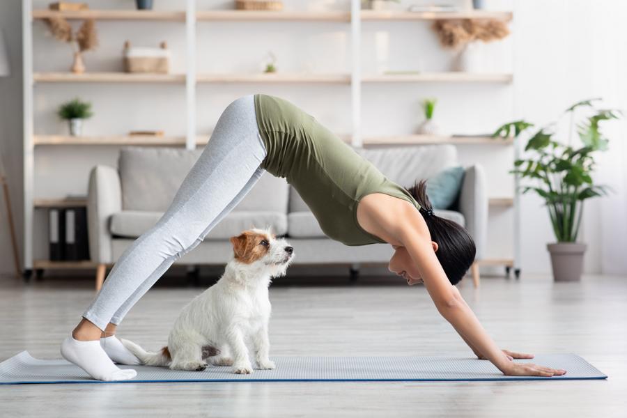 Yoga-PoseDer herabschauende Hund