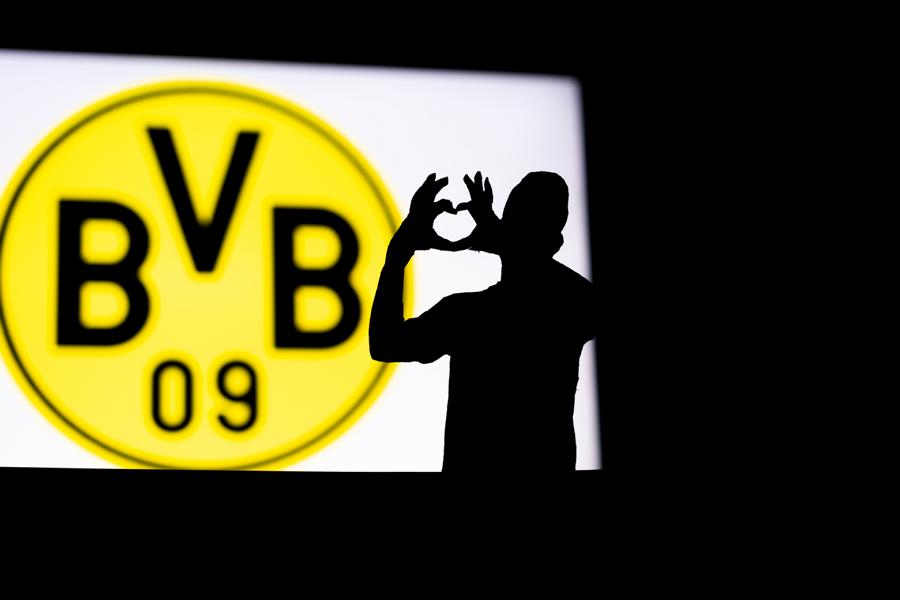 Die Bedeutung der Abkürzung BVB